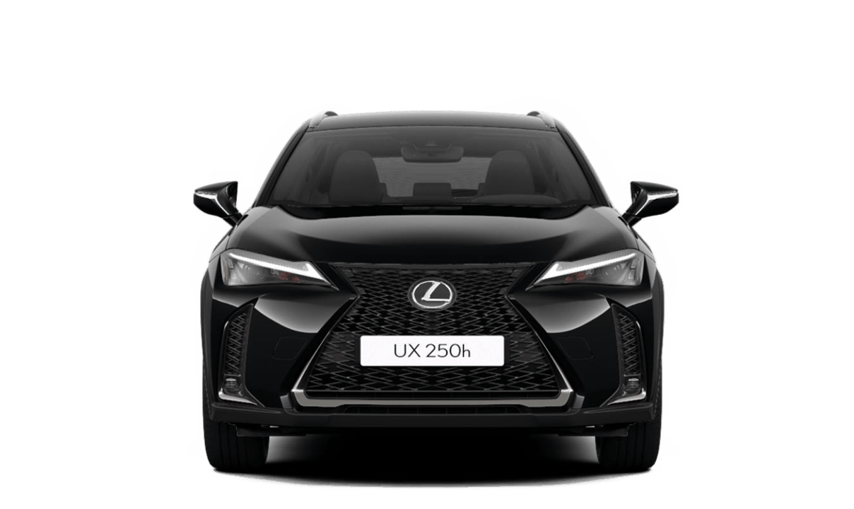 LEXUS UX 250 BUSINESS FACELIFT